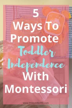 Buiding you child's Buiding you child's independence doesn't have to be hard work. Check out these ways we promote toddler independence with Montessori. #montessoriactivities #independence #toddler #2yearolds #practicallife #practicallifeskills #montessoriinspired #montessoriathome #montessori Toddler Independence, Independent Toddler, Toddler Montessori, Montessori Lessons, Montessori Practical Life, Better Mom, Toddler Discipline, Family Board, Conscious Parenting