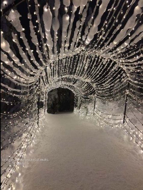 Grouse Mountain, Christmas Light Installation, Winter Szenen, Luge, Winter Scenery, Winter Magic, Winter Beauty, Snow Scenes, Winter Wonder