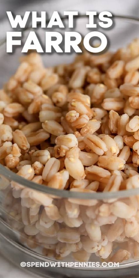 What is farro? It's a super healthy ancient grain! Try using healthy farro as a substitute for barley or brown rice. #spendwithpennies #whatisfarro #sidedish #farro #grain #healthy #howtocook #vsbarley #salad #wheat How To Cook Farro, Vegetable Barley Soup, Farro Recipes, Mushroom Barley Soup, Barley Recipe, Beef Barley Soup, Farro Salad, Barley Soup, Delish Recipes