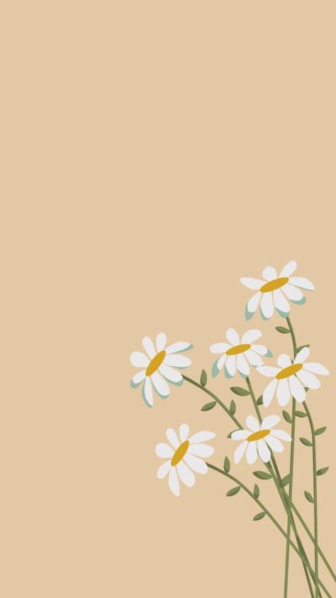 Cute Backrounds, Phone Wallpaper Boho, Daisy Wallpaper, Simple Iphone Wallpaper, Cute Flower Wallpapers, Spring Wallpaper, Iphone Wallpaper Themes, Cute Simple Wallpapers, Flower Background Wallpaper