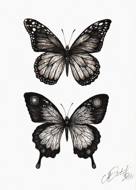 Butterfly Detail Drawing, Detailed Butterfly Tattoo Design, Realistic Butterfly Drawing Pencil, Butterfly Drawing Detailed, Viceroy Butterfly Tattoo, Pencil Butterfly Drawings, Dark Butterfly Drawing, Butterfly Realism Tattoo, Dark Butterfly Tattoo Coverup