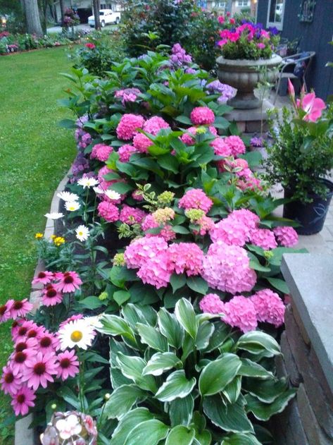 Flower Garden Inspiration Backyards, Peony Flower Bed Ideas, Peony Front Yard Landscaping, Flower Courtyard, Hydrangeas And Hostas, Peony Bed, Flower Garden Plans, Peony Garden, Front Garden Landscape