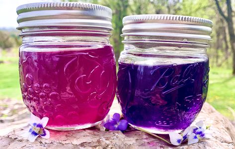 Violet Syrup, Violet Recipes, Pretty Purple Flowers, Wild Violets, Edible Flowers Recipes, Pressure Canning Recipes, Flower Recipes, Foraging Recipes, Simple Syrup Recipes