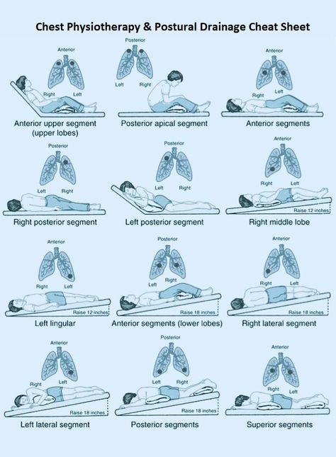 Postural Drainage Positions and Chest Physiotherapy (CPT) Study Guide Postural Drainage and Chest Physiotherapy (CPT) are types of Airway Clearance Therapy. This study guide will help you learn the Postural Drainage Positions. Mucus Clearing Techniques That Alleviate Shortness of Breath Mucus can result in difficulty breathing and shortness of breath. Read these helpful tips for clearing mucus and breathing easier Chest Physiotherapy, Postural Drainage, Physiotherapy Student, Physical Therapy School, Medical Assistant Student, Natural Decongestant, Medical Drawings, Physical Therapy Student, Nursing Study Guide