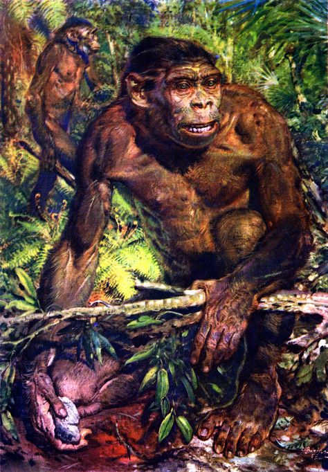 "Prehistoric Man," vintage 1960 book. Illustration by Zdenek Burian. This image is for educational purposes only. All rights remain with the original author(s). Homo Erectus, Prehistoric Man, Prehistoric World, Human Evolution, Antique Plates, Lithograph Print, Antique Prints, Modern Prints, Anthropology