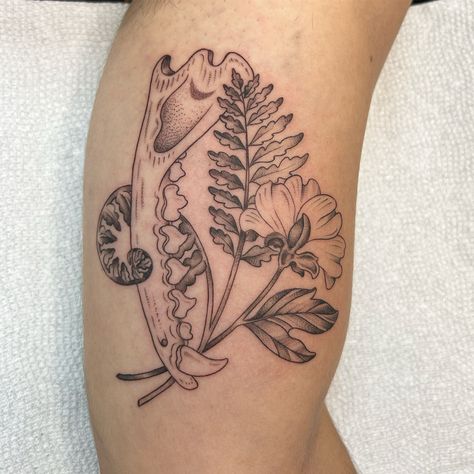 Fern and fox jawbone tattoo by Kinsey Miller Animal Bones Tattoo, Animal Bone Tattoo, Jaw Bone Tattoo, Jawbone Tattoo, Tattoo Therapy, Fox Bones, Wildlife Tattoo, Animal Skeleton, Flash Ideas