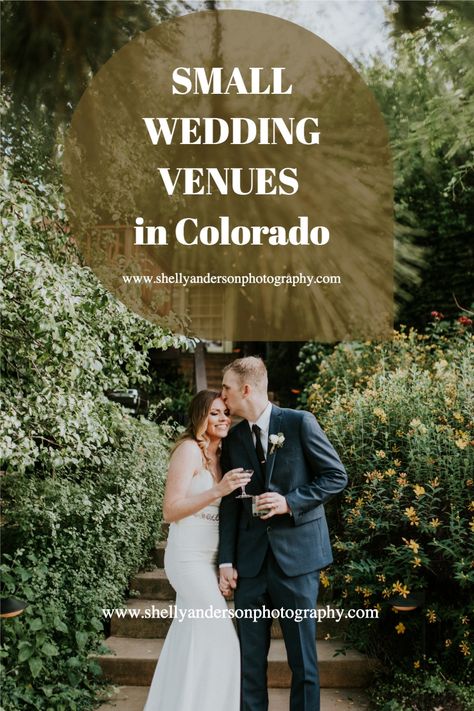 Colorado Wedding Inspiration, Estes Park Colorado Wedding Venues, Micro Wedding Ideas Colorado, Colorado Small Wedding Venues, Forest Wedding Colorado, Micro Colorado Wedding, Intimate Wedding Colorado, Intimate Mountain Wedding Colorado, Denver Colorado Wedding Venues