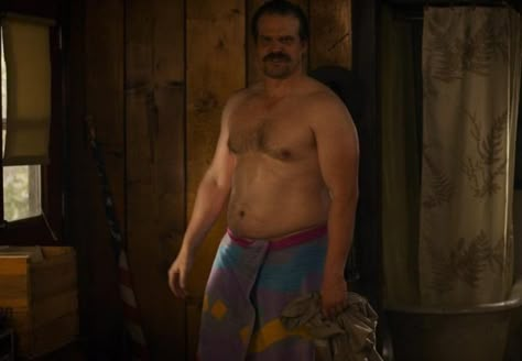 David Harbour Stranger Things, David Harbor, Hopper Stranger Things, David Harbour, Toy Bonnie, Lord Help Me, Hot Dads, Bear Men, Dad Bod