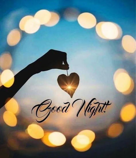 Beautiful Good Night Messages, Good Night For Him, Good Night Hug, Good Night Sleep Well, New Good Night Images, Good Night Images Hd, Lovely Good Night, Good Night Beautiful, Good Morning Beautiful Gif