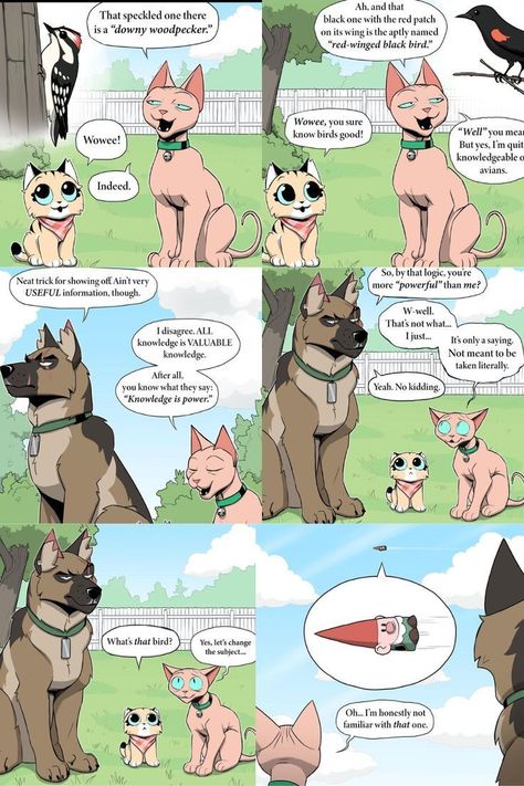 Brutus And Pixie, Pixie And Brutus, Funny Animal Comics, Cute Funny Cartoons, Funny Animal Jokes, Cute Stories, Comics Art, Funny Animal Memes, Some Funny Jokes