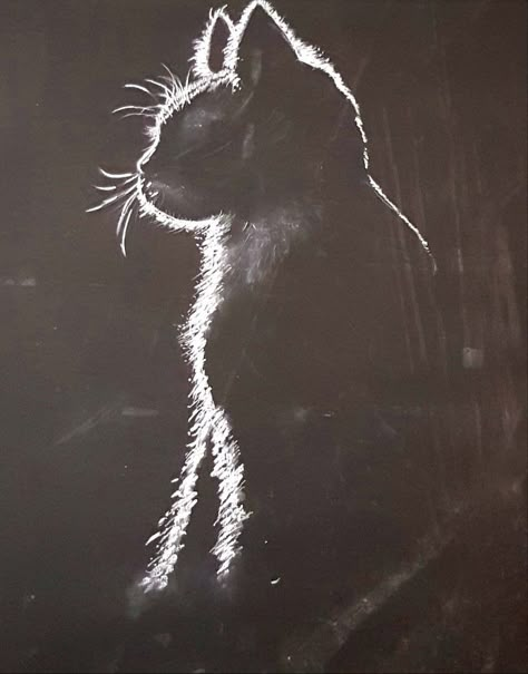 Chalk Art On Blackboard, Cool Chalkboard Art, Blackboard Drawing Ideas, Things To Draw On A Chalkboard, Fox Chalkboard, Blackboard Art Ideas, White Chalk Art, Chalkboard Drawing Ideas, Easy Chalk Drawings