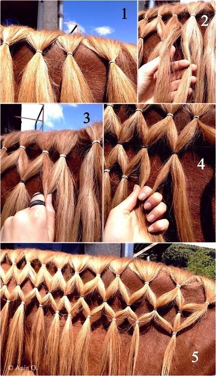 My favorite type of braid, the Diamond braid. Mane Braiding, Horse Mane Braids, Horse Hair Braiding, Horse Braiding, Horse Riding Tips, Horse Mane, Horse Costumes, Horse Tail, Horse Tips