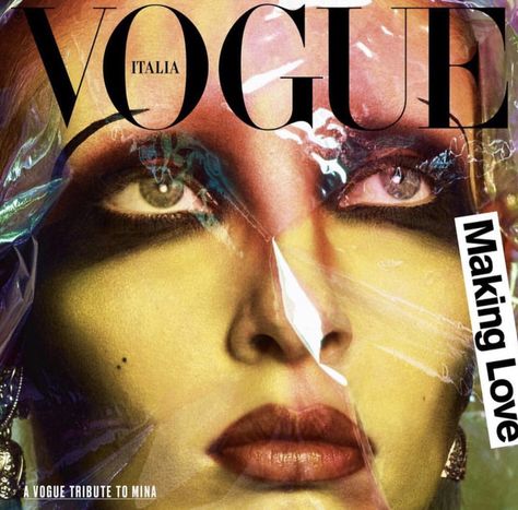 Tribute to MINA! 😍😍😍 @vogueitalia Special Vinyl Record! Photo @luigiandiango #minamazzini #legend #icon #diva ❤️ I've been such a huge fan of Mina ever since my amazing Italian husband introduced me to her. The makeup looks she served has inspired me endlessly! #erinparsonsmakeup Magazine Cover Layout, Makeup Artist Portfolio, Portrait Album, Dna Model, Vogue Brazil, Iris Van Herpen, Fashion Magazine Cover, Glamour Magazine, Vogue Us