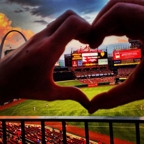 St. Louis cardinals, Busch Stadium, baseball Stl Cardinals Baseball, Heart Baseball, No Crying In Baseball, Cardinals Game, Busch Stadium, St Louis Cardinals Baseball, Baseball Stuff, Stl Cardinals, Baseball Pictures