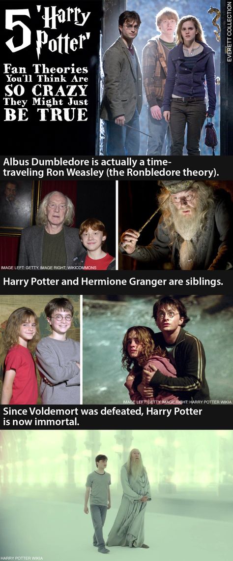 These Harry Potter fan theories are so crazy they might just be true! Click to check out the full list Harry Potter Fan Theories, Harry Potter Theories, Hp Facts, Harry Potter Pin, Fan Theories, Potter Facts, Harry Potter Facts, Harry Potter Books, Harry Potter Love