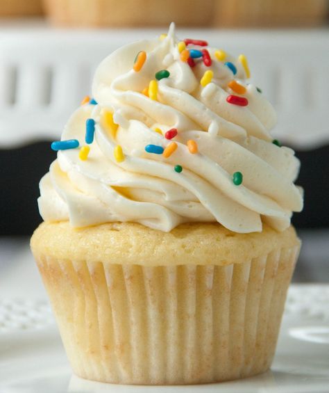 This a super easy vanilla cupcake recipe from scratch. With melted butter and no fancy ingredients it comes together super fast with just a whisk! Best Swiss Meringue Buttercream Recipe, Best Buttercream Icing, Cooked Frosting, Easy Cupcakes Decoration, Frost Cupcakes, Easy Vanilla Cupcakes, Cupcake Recipes From Scratch, Types Of Frosting, Italian Buttercream