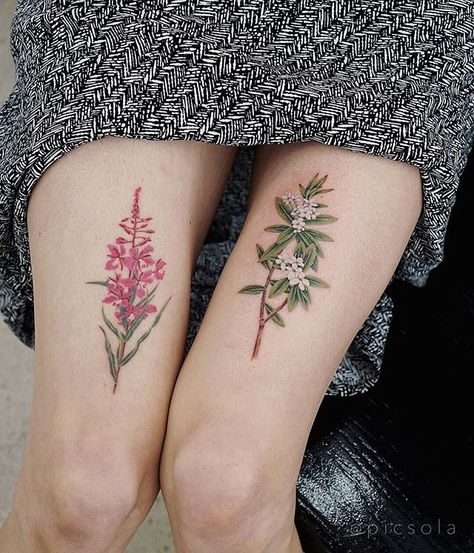 Fireweed (healed) and Labrador Tea (fresh) for Paulina, thank you! #labradortea #fireweed #floraltattoos Alaska Flower Tattoo, Fireweed Flower Tattoo, Fireweed Tattoo, Alaska Tattoo, Labrador Tea, Cage Tattoo, Tea Tattoo, Texas Tattoos, Ribcage Tattoo