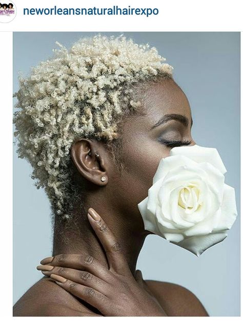 So beautiful . Her coils and hair color  are maximizing the cut. Fabulous! Blonde Afro, Blonde Natural, Curly Fro, Twa Hairstyles, Short Grey Hair, Natural Styles, Short Blonde, Pop Surrealism, Short Natural Hair Styles