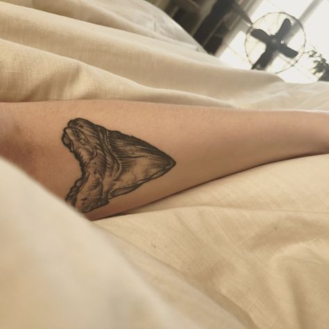 Megalodon shark tooth tattoo Realistic Shark Tooth Tattoo, Megalodon Shark Tooth Tattoo, Megalodon Shark Tooth, Megalodon Jaw Tattoo, Megladon Tooth Tattoo, Megalodon Tooth Tattoo, Megalodon Shark Tattoo, Tiger Shark Tooth Tattoo, Sharks Tooth Tattoo