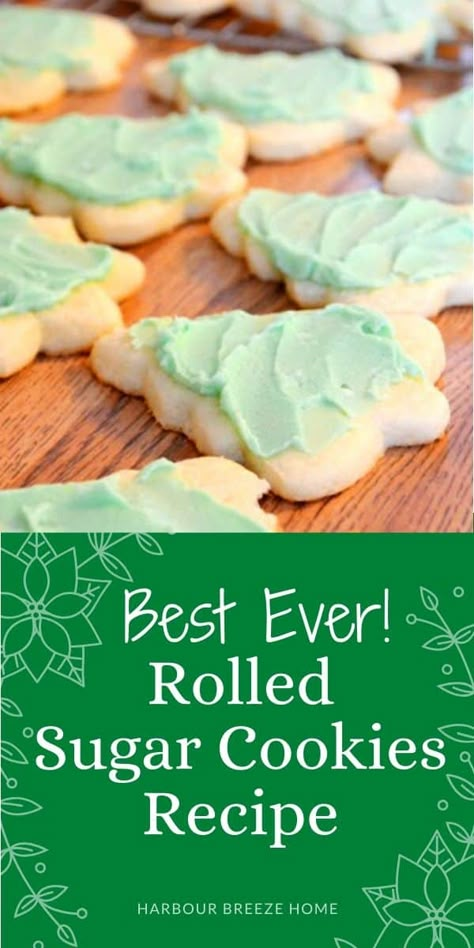 Overnight Sugar Cookie Dough, Christmas Cut Outs, Easy Sugar Cookie Recipe, Rolled Sugar Cookie Recipe, Roll Out Sugar Cookies, Christmas Sugar Cookie Recipe, Soft Sugar Cookie Recipe, Christmas Baking Cookies, Cut Out Cookie Recipe