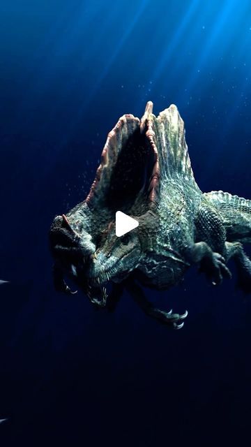 Prehistoric Dinosaur Hub | While Spinosaurus was adapted for an aquatic lifestyle and likely spent a significant amount of time in water, there’s no evidence to s... | Instagram Dinosaur Fossil, Prehistoric Dinosaurs, Big Sea, Jurassic World, Hunting Fishing, Deep Sea, In Water, Archaeology, Dinosaurs