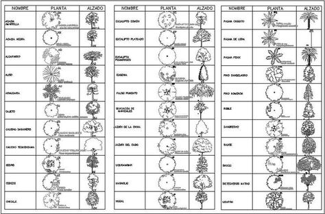 Architectural Trees, Floor Plan Symbols, Architecture Blueprints, Landscape Design Drawings, Landscape Architecture Drawing, Architecture Drawing Plan, Architecture Portfolio Design, Interior Architecture Drawing, Architecture Design Sketch