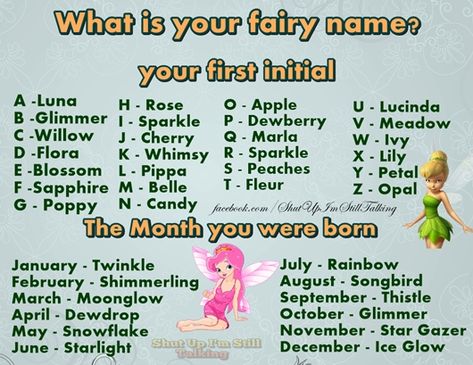 Your Fairy Name, Funny Name Generator, Fairy Name, Fun Names, Famous Quotes Inspirational, Fairy Names, Silly Names, Fairy Things, Siblings Funny