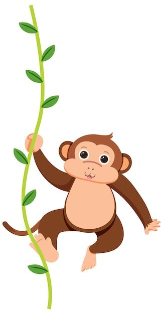 Monkey Images, Monkey Hanging, Cute Monkey, Vector Photo, Graphic Resources, Vector Art, Stock Illustration, Vector Images, Vector Free