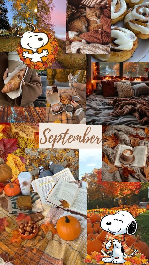 September wallpaper #september #wallpaper #fallaesthetic #snoopy #fallcore September Vibes Wallpaper, September Background, Wallpaper September, September Wallpaper, October Wallpaper, Wallpaper Fall, Snoopy Wallpaper, Wall Papers, Aesthetic Iphone