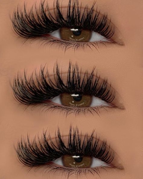 Lash Map, Lash Training, Best Lash Extensions, Lashes Fake Eyelashes, Wispy Eyelashes, Stop Overthinking, Cat Eye Lash, Eyelash Extensions Styles, Perfect Eyelashes