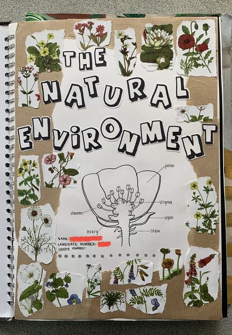 Fmp Ideas Projects, Gcse Art Environment Title Page, Evs Project Cover Page, Gsce Art Title Page, Artist Research Page Ideas, Alevel Art Title Page, Gcse Art Title Ideas, Gcse Title Page, Natural Forms Title Page