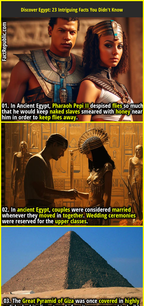 01. In Ancient Egypt, Pharaoh Pepi II despised flies so much that he would keep naked slaves smeared with honey near him in order to keep flies away. Egyptian History Ancient Egypt, Ancient Egypt Facts, Egyptian Facts, Egypt Lessons, World History Facts, Egypt Pharaoh, Fact Republic, Ancient History Facts, Great Pyramid Of Giza