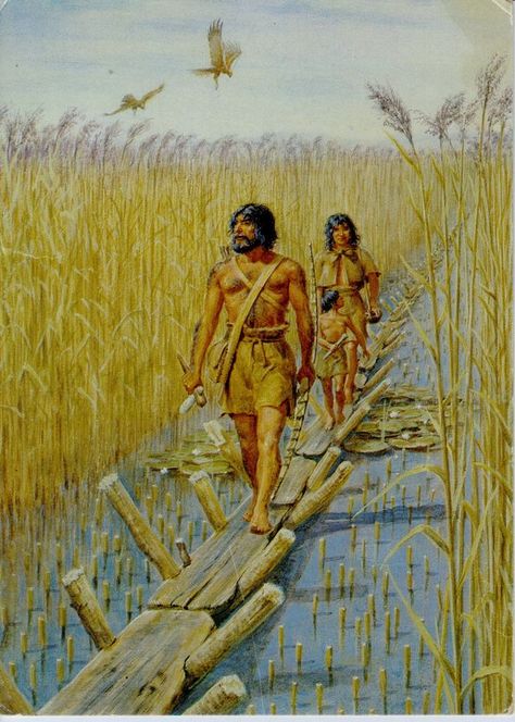 Somerset Levels, Prehistoric Man, Ages Of Man, Early Humans, Prehistoric World, Prehistoric Art, Stone Age, Iron Age, Prehistoric Animals