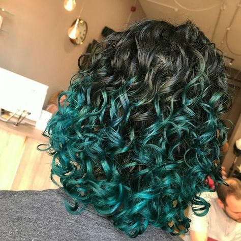 Balage Hair, Dyed Curly Hair, Highlights Curly Hair, Colored Curly Hair, Hairdos For Curly Hair, Curly Hair Care, Hair Dye Colors, Hair Inspo Color, Short Curly Hair