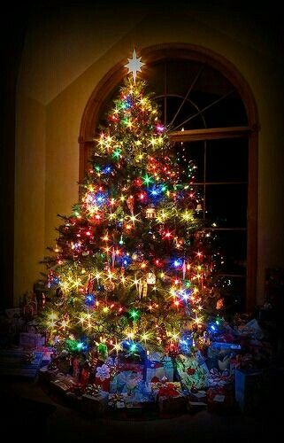 White and multi coloured lights together on one tree. Coloured Lights Christmas Tree, Christmas Tree Ideas With Colored Lights, Colourful Christmas Lights, Christmas Tree Colored Lights, Christmas Tree With Coloured Lights, Colourful Christmas Tree, Morning Christmas, Happy Christmas Day, Christmas Colours