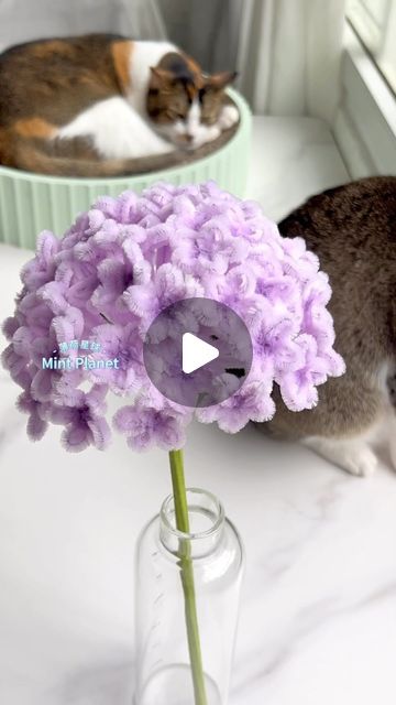 Hydrangea Pipe Cleaner, Pipe Cleaner Hydrangea, Flower From Pipe Cleaner, Flower Pipe Cleaner Tutorial, How To Make Flowers With Pipe Cleaners, Chenille Flowers Diy, Making Flowers With Pipe Cleaners, Craft Ideas With Pipe Cleaners, Flower Pipe Cleaner Bouquet