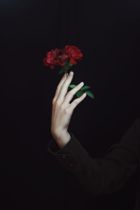 rose&prose @michaelOXOXO @JonXOXOXO @emmaruthXOXO  #BLACKBACKGROUND Tuxedo Mask, Hand Photography, Rosé Aesthetic, Hand Reference, Foto Poses, Foto Art, Chiba, Hand Holding, Dark Photography