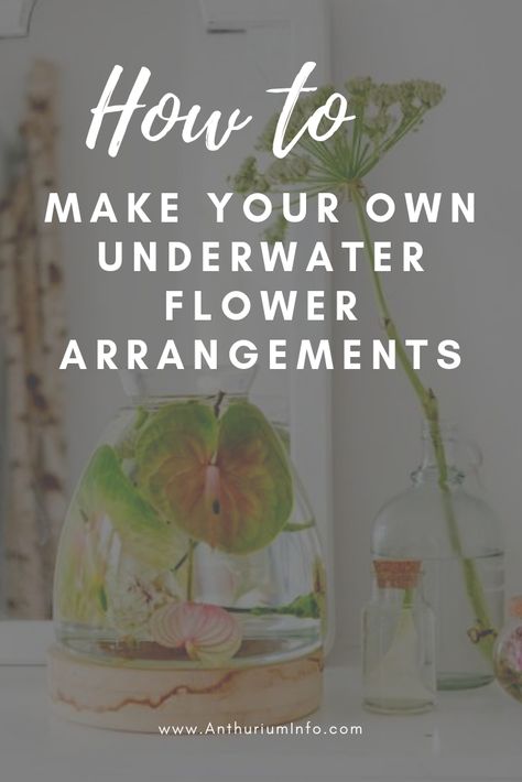 Make your own underwater flower arrangements | Anthurium Info | DIY, do it yourself, anthurium, flower, flowers, tip Underwater Flower Arrangements, Underwater Floral Arrangements, Underwater Floral Designs, Submerged Flower Centerpiece, Anthurium Arrangement, Gladiolus Arrangements, Fake Flower Centerpieces, Underwater Flowers, Tall Glass Vases