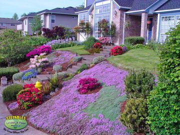 Creeping Thyme Hillside, Sloped Landscape, Wooly Thyme, Sloped Backyard Landscaping, Landscaping A Slope, Landscaping On A Hill, Lawn Alternatives, Hillside Garden, Sloped Backyard