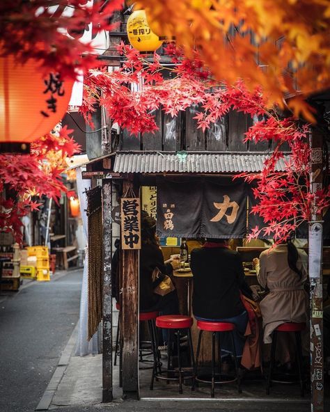 Japan Fall Season, Autumn Japan Photography, Japan In Autumn Aesthetic, Tokyo Fall Aesthetic, Tokyo In Autumn, Japan Aesthetic Autumn, Fall In Japan Aesthetic, Japan In The Fall, Japanese Autumn Aesthetic