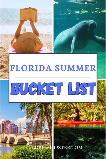 The Ultimate Florida Summer Bucket List: 15 Things You Can’t Miss in 2024!  - Florida Hipster Florida Bucket List Things To Do, Summer In Florida, Florida Bucket List, Kids Summer Bucket List, Ultimate Summer Bucket List, Busch Gardens Tampa Bay, Travel Key West, Florida Beach House, Busch Gardens Tampa