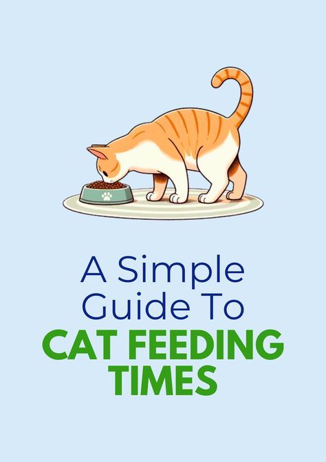 Cat Feeding Chart, Cat Diet Plan, Cat Feeding Schedule, Healthy Cat Food, Natural Eating, Sphinx Cat, Cat Hacks, Healthy Cat, Senior Cat