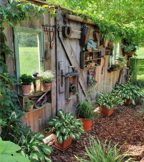 Cool Garden Ideas Backyards, Small Yard Design Backyards, Crates Garden Ideas, Pretty Sheds, Heirloom Garden, Grain Bins, Backyard Cottage, Rustic Backyard, Garden Chic