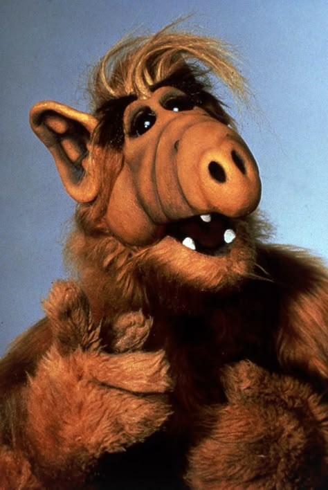 Out of This World: An Oral History of ALF | Mental Floss Motocykle Harley Davidson, 90s Cartoons, Oral History, Old Tv Shows, Chewbacca, Old Tv, Classic Tv, Out Of This World, Action Adventure