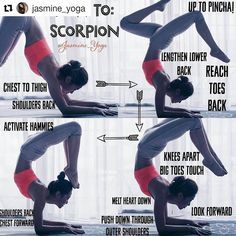 Scorpion Pose, Yoga Tutorial, Pilates Training, Sup Yoga, Partner Yoga, Yoga Iyengar, Trening Fitness, Yoga Posen, Iyengar Yoga