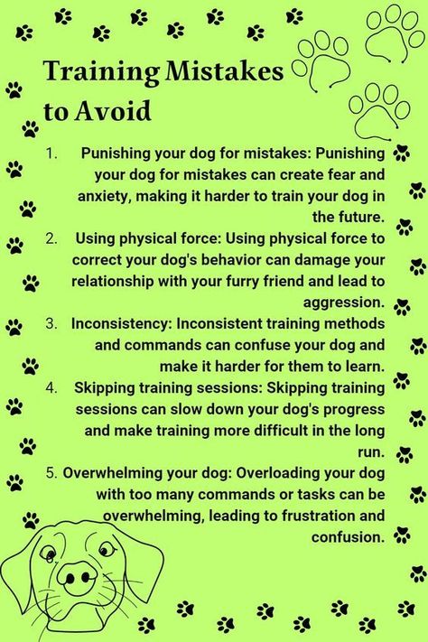 training dog mistkes to avoid Reactive Dog Training Tips, Lacrosse Training, How To Train Dogs, Obedience Training For Dogs, Diy Chat, Service Dog Gear, Psychiatric Service Dog, Service Dogs Gear, Pet Information