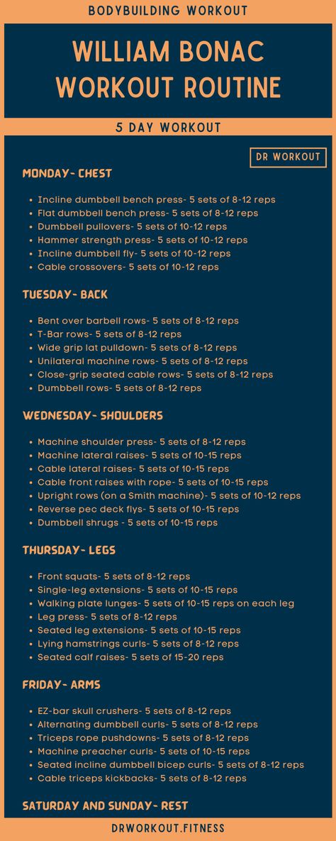 William Bonac’s Workout Routine Sam Sulek Workout Plan, Hercules Workout, Dr Workout, Workout Charts, 5 Day Workout Plan, 5 Day Workout Routine, 5 Day Workouts, Full Body Strength Workout, 7 Day Workout