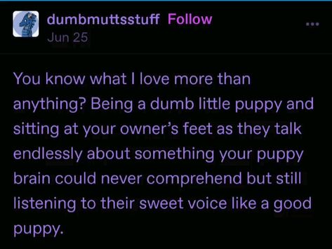 Lost Puppy Syndrome, Collars For Subs Cute, Pet Play Collar, K¡nky Twitter Stuff, Puppy Play Aesthetic, Pup Play Aesthetic, Collars For Subs, Puppy Boy Aesthetic, Hornyposting Ideas Tweets