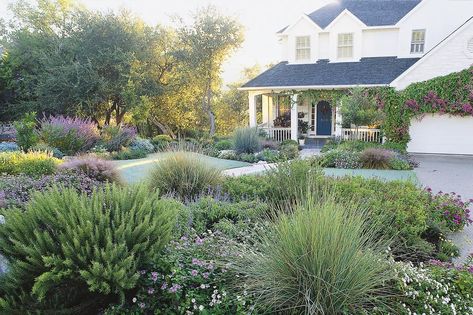 No Grass Yard, Grass Alternative, Front Garden Design, Big Backyard, Grasses Landscaping, Modern Landscape Design, Front Landscaping, This Old House, Front Lawn