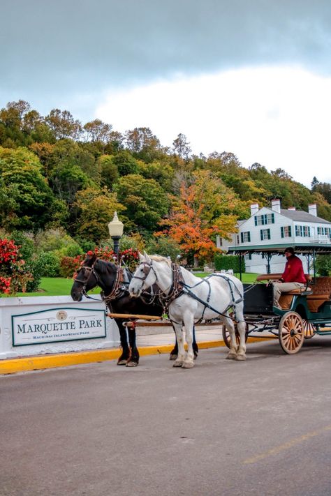 Mackinac Island Fall, Vacation Bucket List, Mackinaw Island, Mackinac Island Michigan, Michigan Girl, Mackinaw City, Michigan Summer, Michigan Vacations, Island Pictures